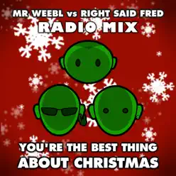 You're the Best Thing About Christmas (Radio Mix) [Mr Weebl vs. Right Said Fred] - Single - Right Said Fred