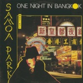 One Night in Bangkok Medley (with Midnight Man) [Radio Version] artwork