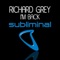 I'm Back - Richard Grey lyrics