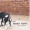 Open Forum - Snarky Puppy lyrics