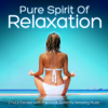 Pure Spirit of Relaxation - 2 Hour Escape With the Most Beautiful Relaxing Music - EAO
