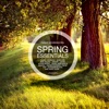 Leevey - Never Ask My Why (Benotmane & Claudio Carrera Remix)
