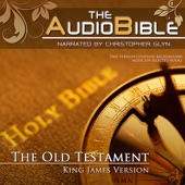 Audio Bible Old Testament. 13 - Lamentations - Ezekiel artwork