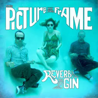 lataa albumi The Picture and the Frame - Reverb and Gin