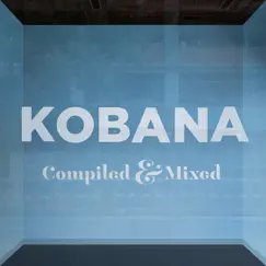 Third Element (Kobana Remix) Song Lyrics