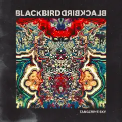 Tangerine Sky by Blackbird Blackbird album reviews, ratings, credits