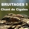 Chant de cigales, Vol. 1 - Bruitages lyrics