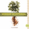 Worship Devotional - November, 2011