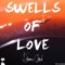 Swells of Love - Darren Clark lyrics