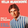 Vrati Se Sa Prolecem (Serbian Folklore Music)