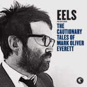 The Cautionary Tales of Mark Oliver Everett (Deluxe Version) artwork