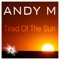 Tired of the Sun - Andy M lyrics