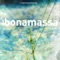 Cradle Rock - Joe Bonamassa lyrics