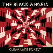 The Black Angels - The Flop