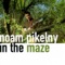 Overland - Noam Pikelny lyrics