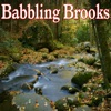 Babbling Brooks: Sounds of Nature