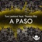 A Paso (Alex Botar Remix) - Tom Leeland lyrics