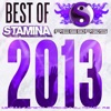Best of Stamina Records 2013