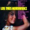 Pájaro Chogüí - Los Tres Hernández lyrics