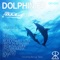 Dolphin (Nhato Remix) - adukuf lyrics