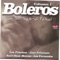 Amor gitano - José Feliciano lyrics