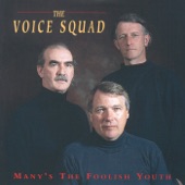 The Voice Squad - The Parting Glass
