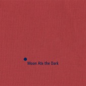 Moon Ate the Dark artwork