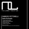 Dark Activate (Antoni Bios Remix) - Fabrizio Pettorelli lyrics