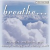 Relaxation, Meditation, Yoga, Massage Therapy and Healing Music artwork