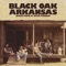 G Wiz (2013 Instrumental) [Bonus Track] - Black Oak Arkansas lyrics