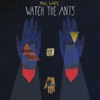 Watch the Ants, 2013