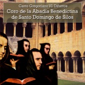 Canto Gregoriano VI: Difuntos artwork