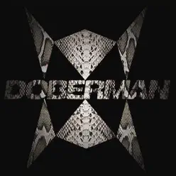 Doberman - Doberman Doberman - Doberman