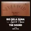 The Sound (feat. Amrick Channa) - Single album lyrics, reviews, download