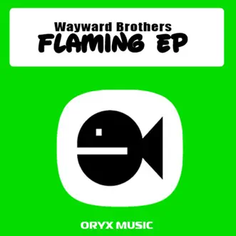 Contradictory by Wayward Brothers song reviws