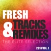 Fresh Tracks and Remixes - The Elite Selection 2013, Vol. 1 - EP