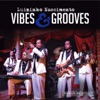Vibes & Grooves, 2014