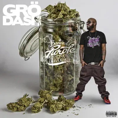 Bandana & Purple Haze - Grodash Bandana & Purple Haze - Grodash