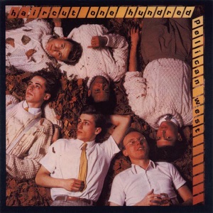 Nobody's Fool Artwork