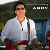 Andy - Che Ehsaseh Ghashangi