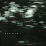 Whale Fall - Swagger