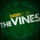 The Vines-Ms. Jackson