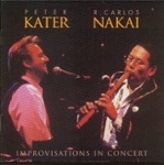Peter Kater & R. Carlos Nakai - Garden's Gate