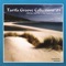 Dolphins in Tarifa - David Ferrero & Pedro Del Moral lyrics