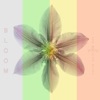 Bloom - EP
