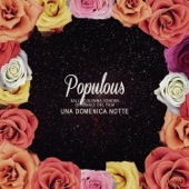 Populous - Stereomoody