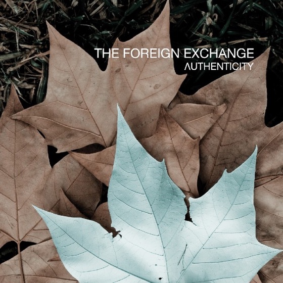 Cover artwork for The Last Fall