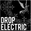 Drop Electric Sampler Platter - EP