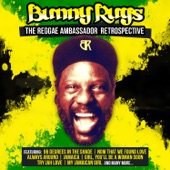The Reggae Ambassador Retrospective (feat. Third World) artwork