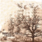 Trampled By Turtles - Shenandoah